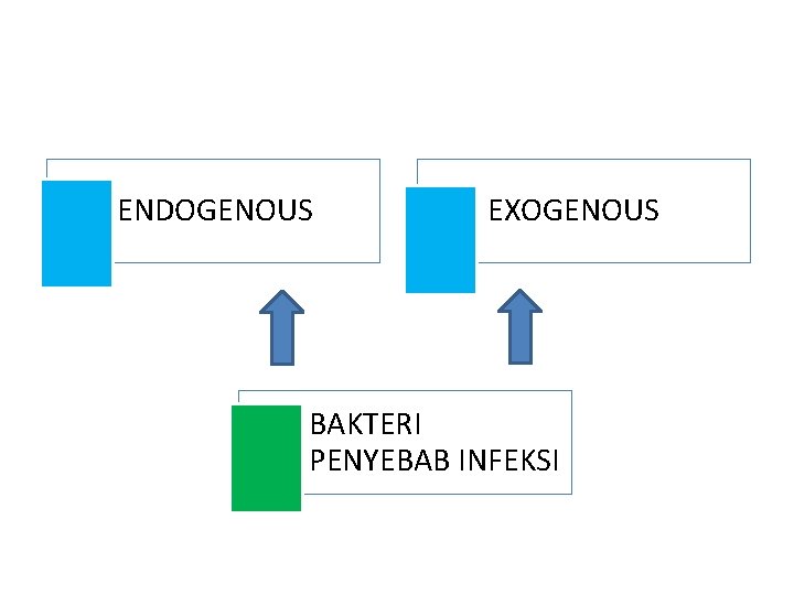 ENDOGENOUS EXOGENOUS BAKTERI PENYEBAB INFEKSI 