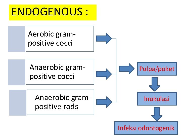 ENDOGENOUS : Aerobic grampositive cocci Anaerobic grampositive rods Pulpa/poket Inokulasi Infeksi odontogenik ENDOGENOUS : Aerobic grampositive cocci Anaerobic grampositive rods Pulpa/poket Inokulasi Infeksi odontogenik