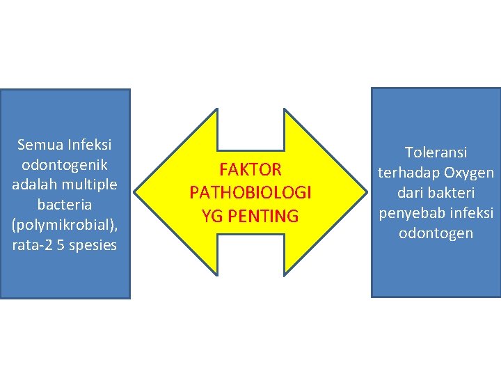 Semua Infeksi odontogenik adalah multiple bacteria (polymikrobial), rata-2 5 spesies FAKTOR PATHOBIOLOGI YG PENTING