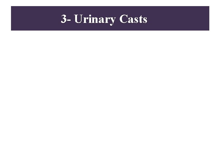3 - Urinary Casts 