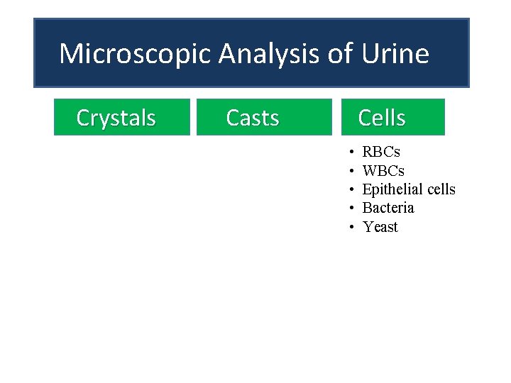 Microscopic Analysis of Urine Crystals Casts Cells • • • RBCs WBCs Epithelial cells