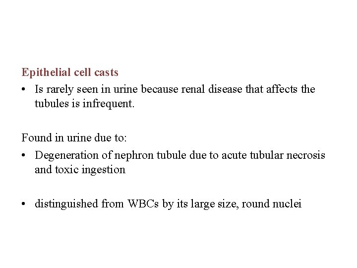 Epithelial cell casts • Is rarely seen in urine because renal disease that affects