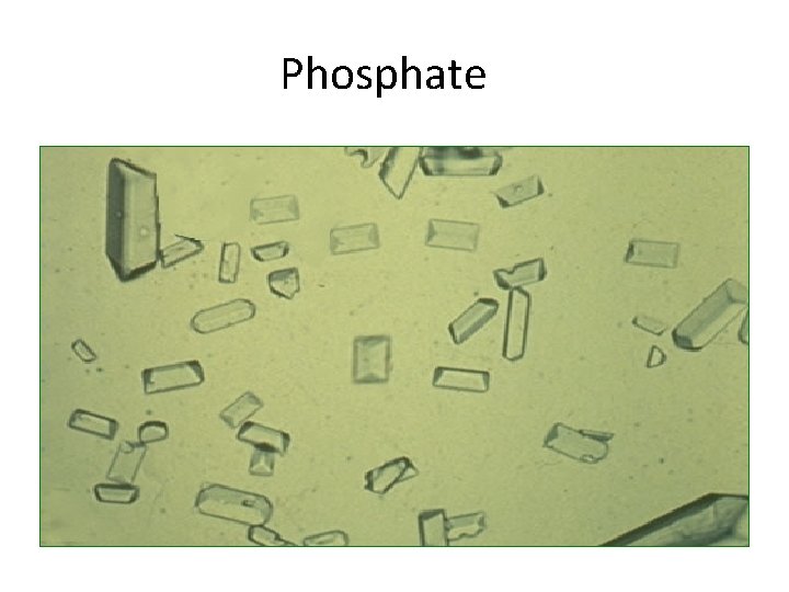 Phosphate 