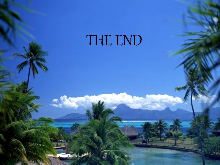 THE END 