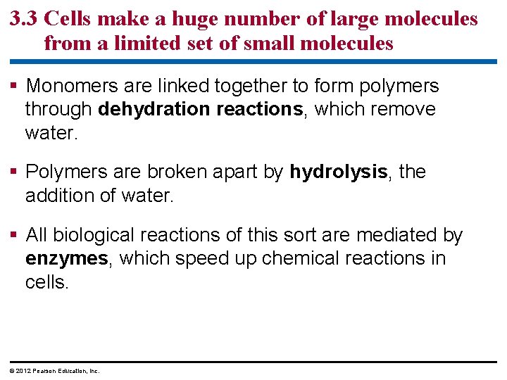 3. 3 Cells make a huge number of large molecules from a limited set 3. 3 Cells make a huge number of large molecules from a limited set