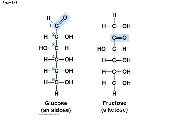 Figure 3. 4 B Glucose (an aldose) Fructose (a ketose) Figure 3. 4 B Glucose (an aldose) Fructose (a ketose)