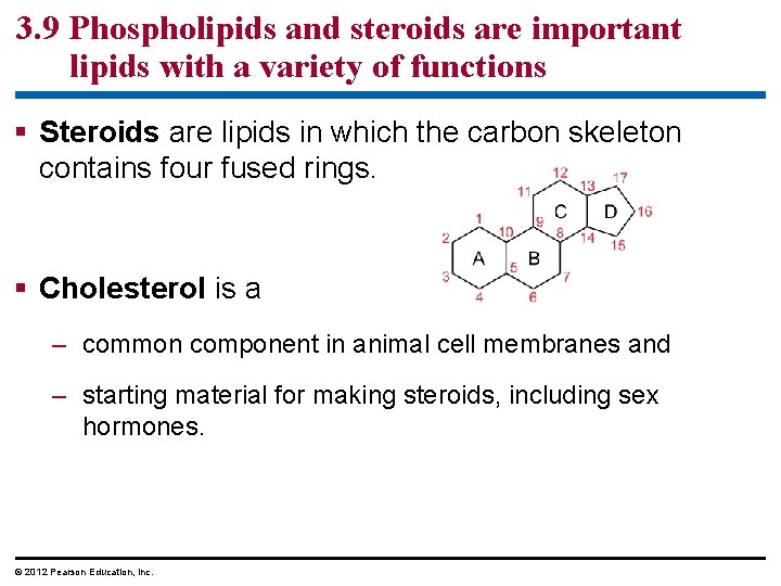 3. 9 Phospholipids and steroids are important lipids with a variety of functions § 3. 9 Phospholipids and steroids are important lipids with a variety of functions §