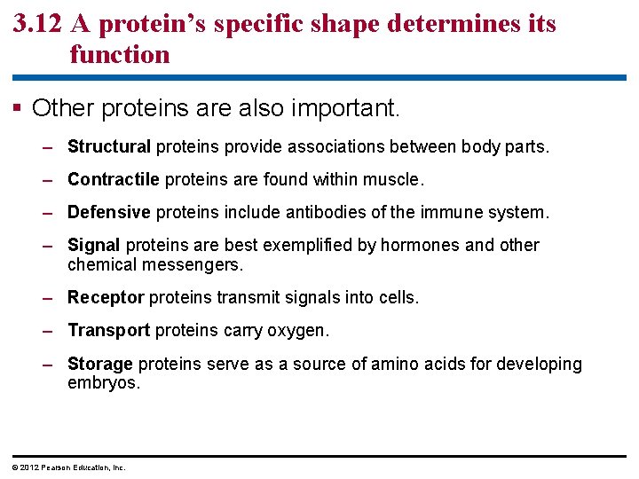 3. 12 A protein’s specific shape determines its function § Other proteins are also 3. 12 A protein’s specific shape determines its function § Other proteins are also