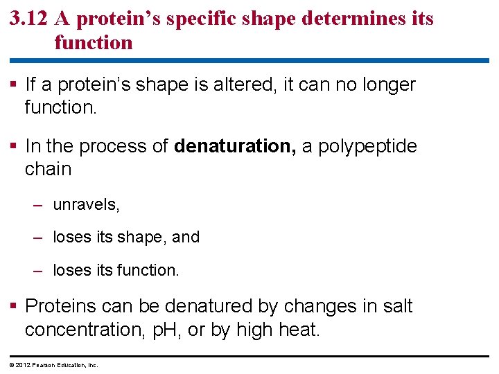 3. 12 A protein’s specific shape determines its function § If a protein’s shape 3. 12 A protein’s specific shape determines its function § If a protein’s shape