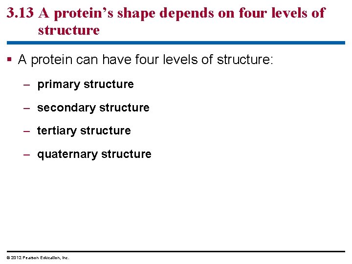 3. 13 A protein’s shape depends on four levels of structure § A protein 3. 13 A protein’s shape depends on four levels of structure § A protein