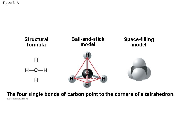 Figure 3. 1 A Structural formula Ball-and-stick model Space-filling model The four single bonds Figure 3. 1 A Structural formula Ball-and-stick model Space-filling model The four single bonds