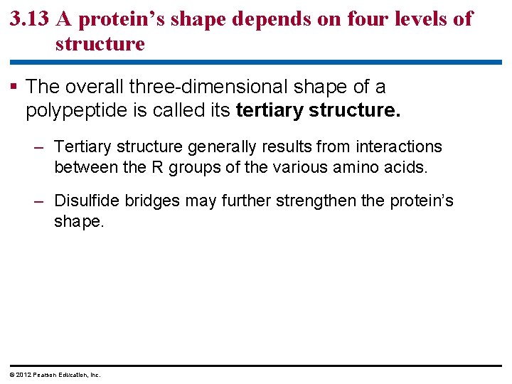 3. 13 A protein’s shape depends on four levels of structure § The overall 3. 13 A protein’s shape depends on four levels of structure § The overall