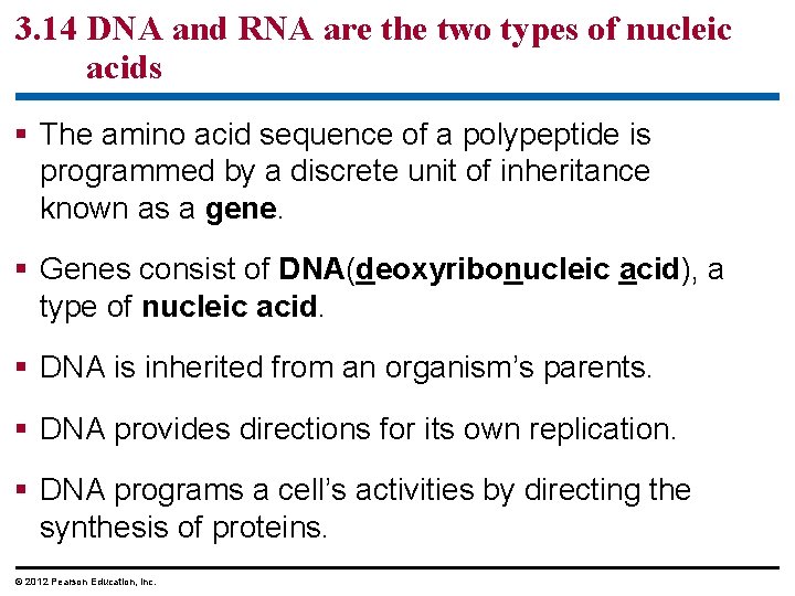 3. 14 DNA and RNA are the two types of nucleic acids § The 3. 14 DNA and RNA are the two types of nucleic acids § The