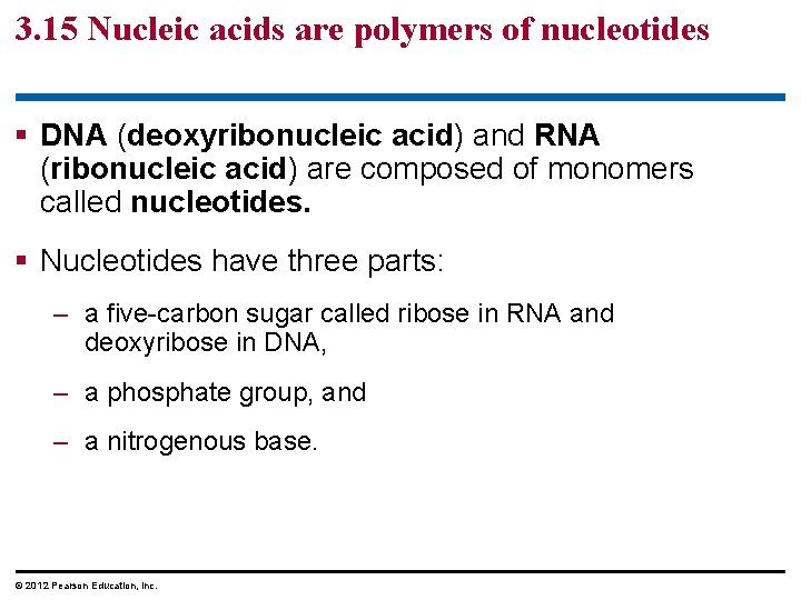 3. 15 Nucleic acids are polymers of nucleotides § DNA (deoxyribonucleic acid) and RNA 3. 15 Nucleic acids are polymers of nucleotides § DNA (deoxyribonucleic acid) and RNA