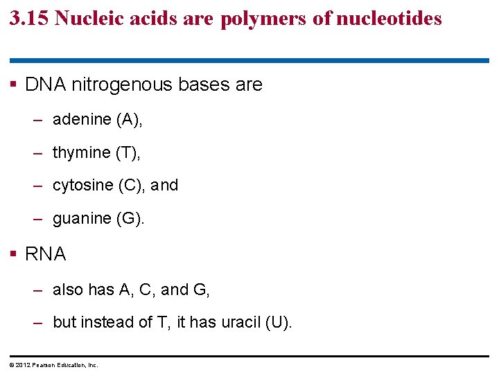 3. 15 Nucleic acids are polymers of nucleotides § DNA nitrogenous bases are – 3. 15 Nucleic acids are polymers of nucleotides § DNA nitrogenous bases are –