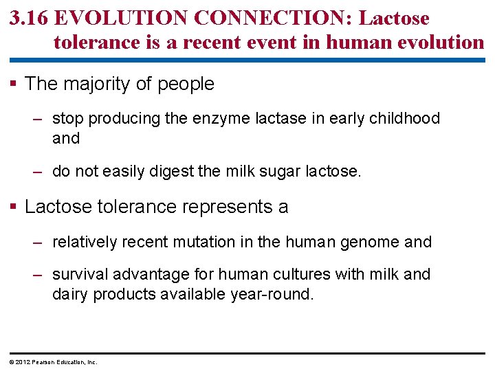 3. 16 EVOLUTION CONNECTION: Lactose tolerance is a recent event in human evolution § 3. 16 EVOLUTION CONNECTION: Lactose tolerance is a recent event in human evolution §