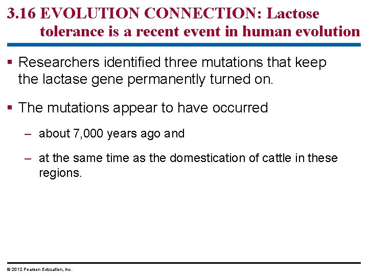 3. 16 EVOLUTION CONNECTION: Lactose tolerance is a recent event in human evolution § 3. 16 EVOLUTION CONNECTION: Lactose tolerance is a recent event in human evolution §