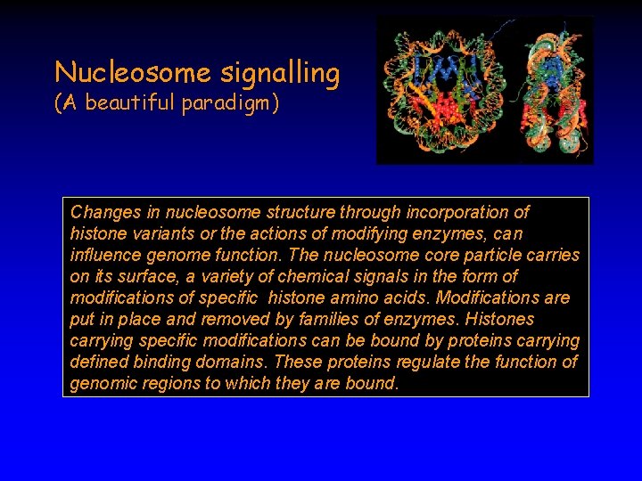 Nucleosome signalling (A beautiful paradigm) Changes in nucleosome structure through incorporation of histone variants