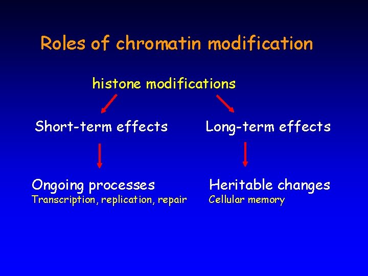 Roles of chromatin modification histone modifications Short-term effects Long-term effects Ongoing processes Heritable changes