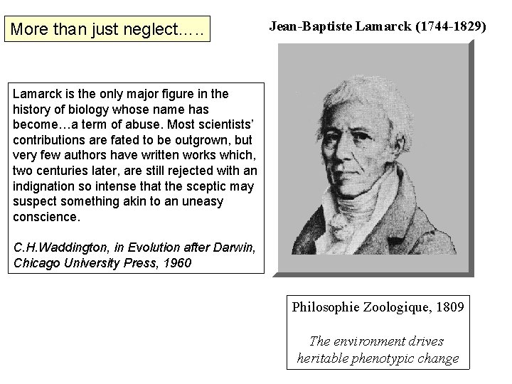 More than just neglect…. . Jean-Baptiste Lamarck (1744 -1829) Lamarck is the only major