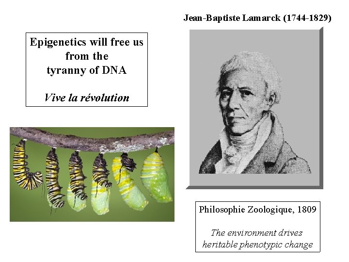 Jean-Baptiste Lamarck (1744 -1829) Epigenetics will free us from the tyranny of DNA Vive