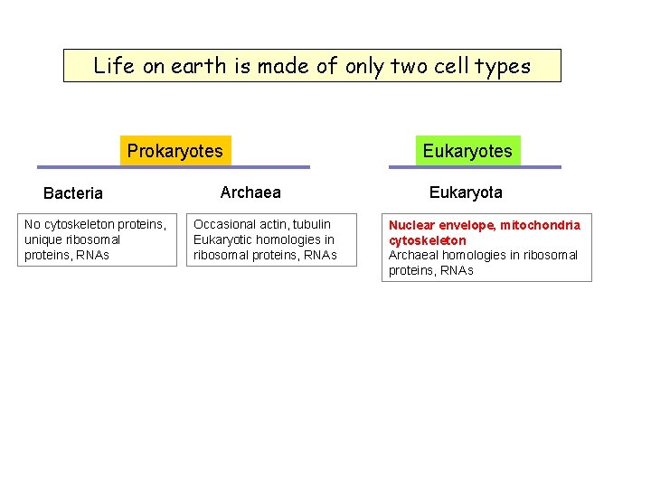 Life on earth is made of only two cell types Prokaryotes Bacteria No cytoskeleton