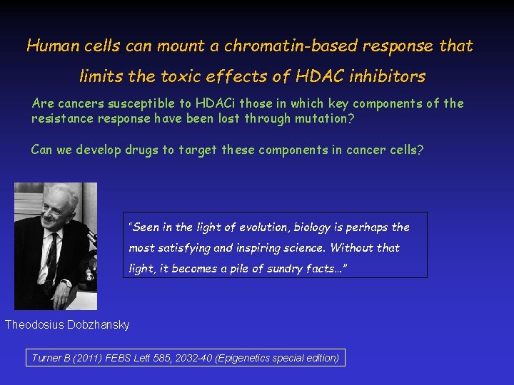 Human cells can mount a chromatin-based response that limits the toxic effects of HDAC