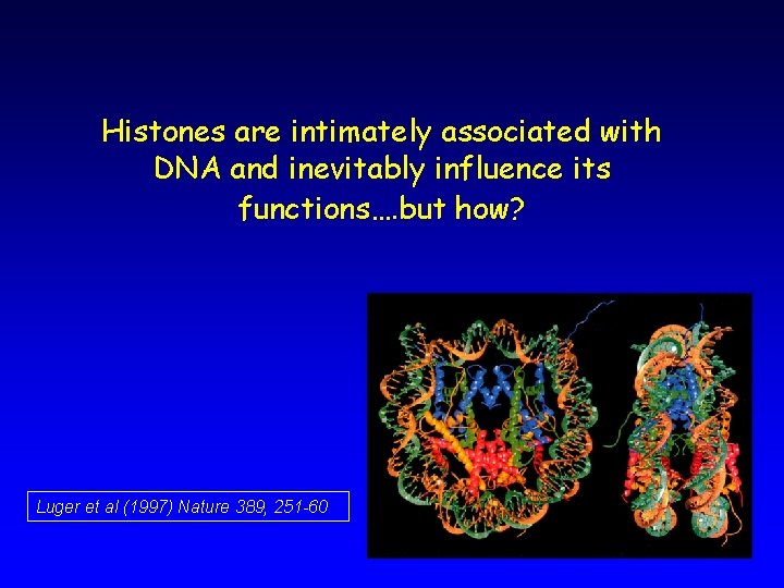 Histones are intimately associated with DNA and inevitably influence its functions…. but how? Luger