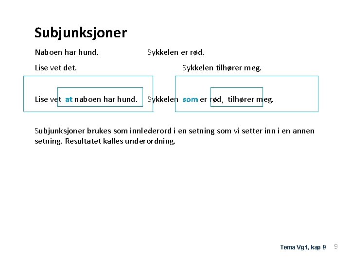 Subjunksjoner Naboen har hund. Lise vet det. Sykkelen er rød. Sykkelen tilhører meg. Lise