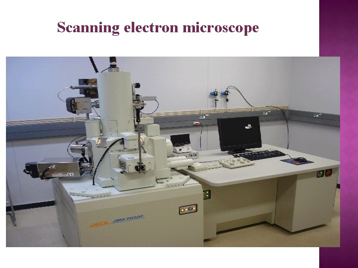 Scanning electron microscope 