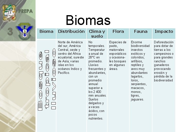 Biomas Bioma Distribución Clima y suelo Flora Fauna Impacto Norte de América del sur;