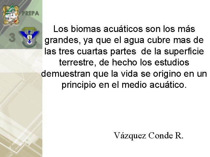 Los biomas acuáticos son los más grandes, ya que el agua cubre mas de