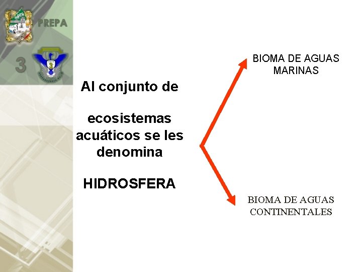 BIOMA DE AGUAS MARINAS Al conjunto de ecosistemas acuáticos se les denomina HIDROSFERA BIOMA