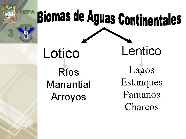 Lotico Ríos Manantial Arroyos Lentico Lagos Estanques Pantanos Charcos 