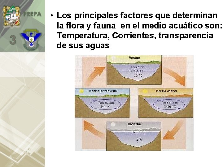  • Los principales factores que determinan la flora y fauna en el medio