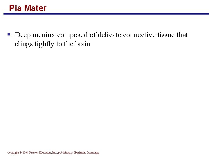 Pia Mater § Deep meninx composed of delicate connective tissue that clings tightly to