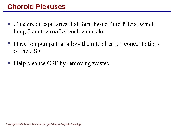 Choroid Plexuses § Clusters of capillaries that form tissue fluid filters, which hang from