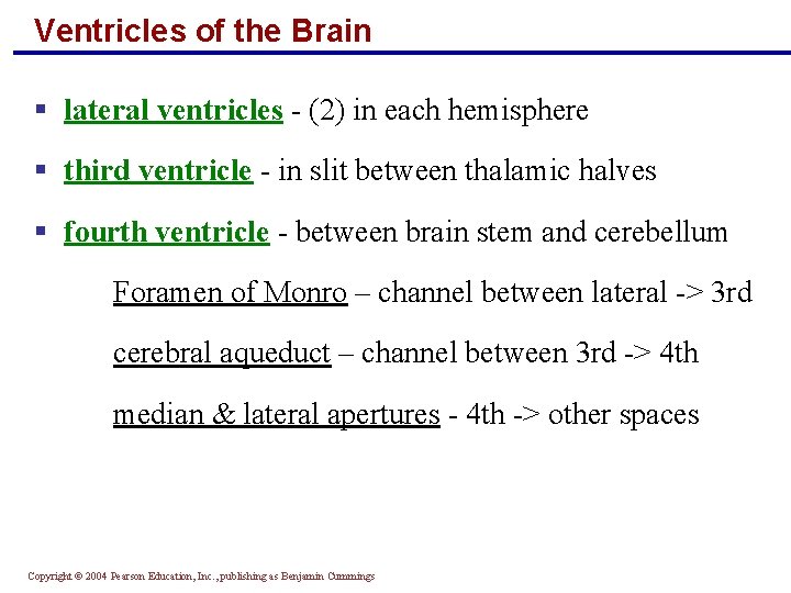 Ventricles of the Brain § lateral ventricles - (2) in each hemisphere § third