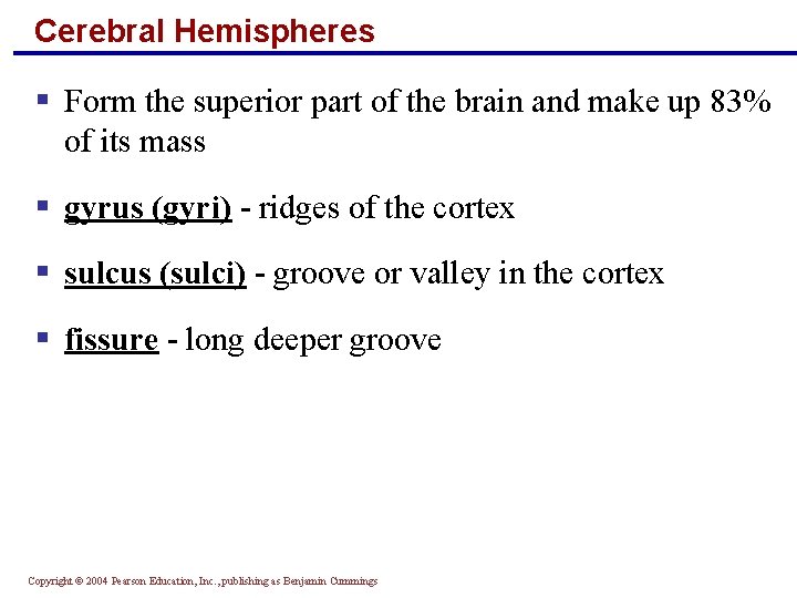 Cerebral Hemispheres § Form the superior part of the brain and make up 83%