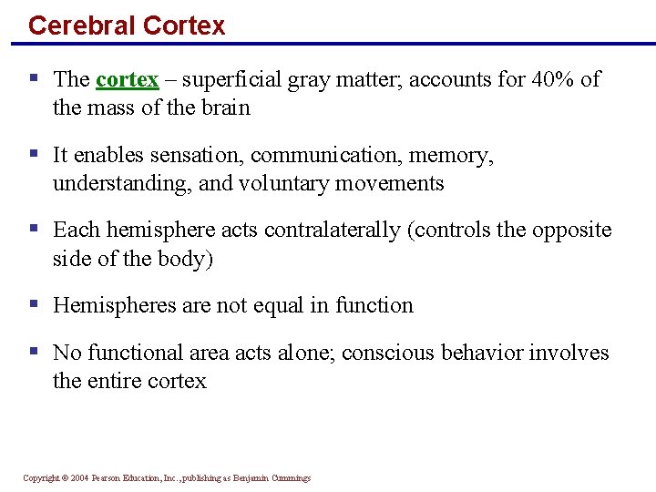 Cerebral Cortex § The cortex – superficial gray matter; accounts for 40% of the