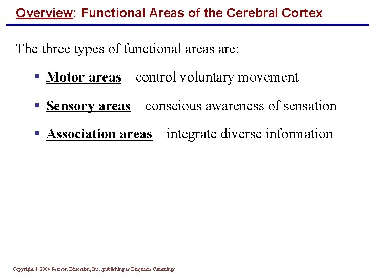 Overview: Functional Areas of the Cerebral Cortex The three types of functional areas are: