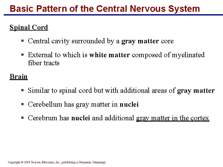 Basic Pattern of the Central Nervous System Spinal Cord § Central cavity surrounded by