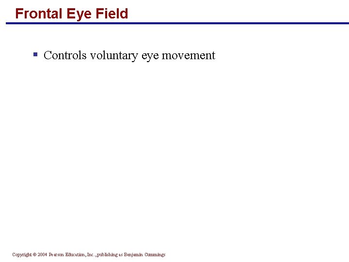 Frontal Eye Field § Controls voluntary eye movement Copyright © 2004 Pearson Education, Inc.