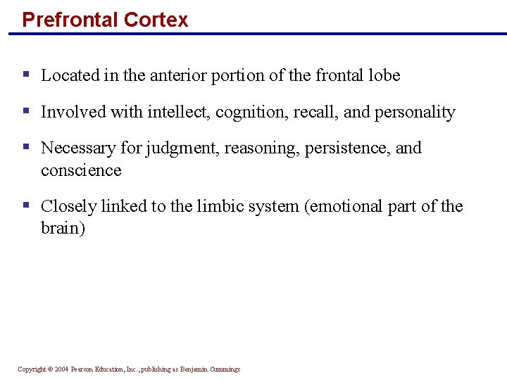 Prefrontal Cortex § Located in the anterior portion of the frontal lobe § Involved