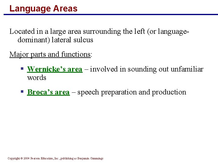 Language Areas Located in a large area surrounding the left (or languagedominant) lateral sulcus