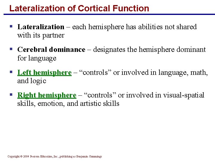 Lateralization of Cortical Function § Lateralization – each hemisphere has abilities not shared with