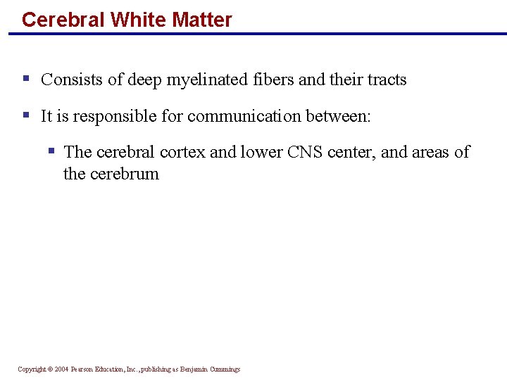 Cerebral White Matter § Consists of deep myelinated fibers and their tracts § It