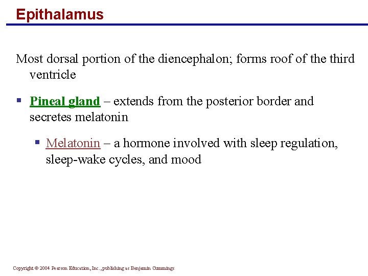 Epithalamus Most dorsal portion of the diencephalon; forms roof of the third ventricle §