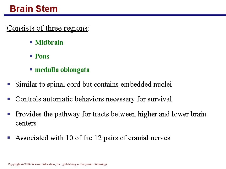 Brain Stem Consists of three regions: § Midbrain § Pons § medulla oblongata §