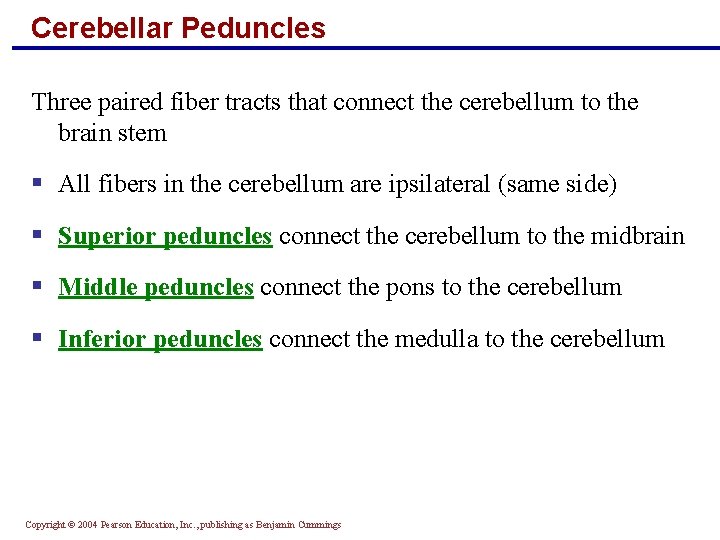Cerebellar Peduncles Three paired fiber tracts that connect the cerebellum to the brain stem